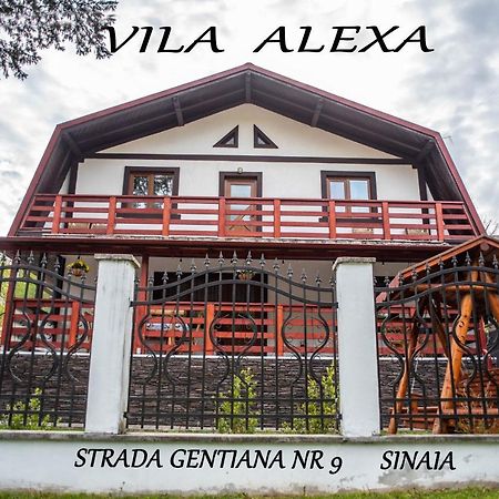 시나이아 Casa Alexa 빌라 외부 사진